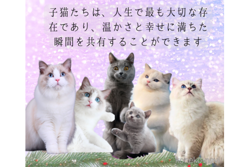 高林弥生ブリーダーの詳細